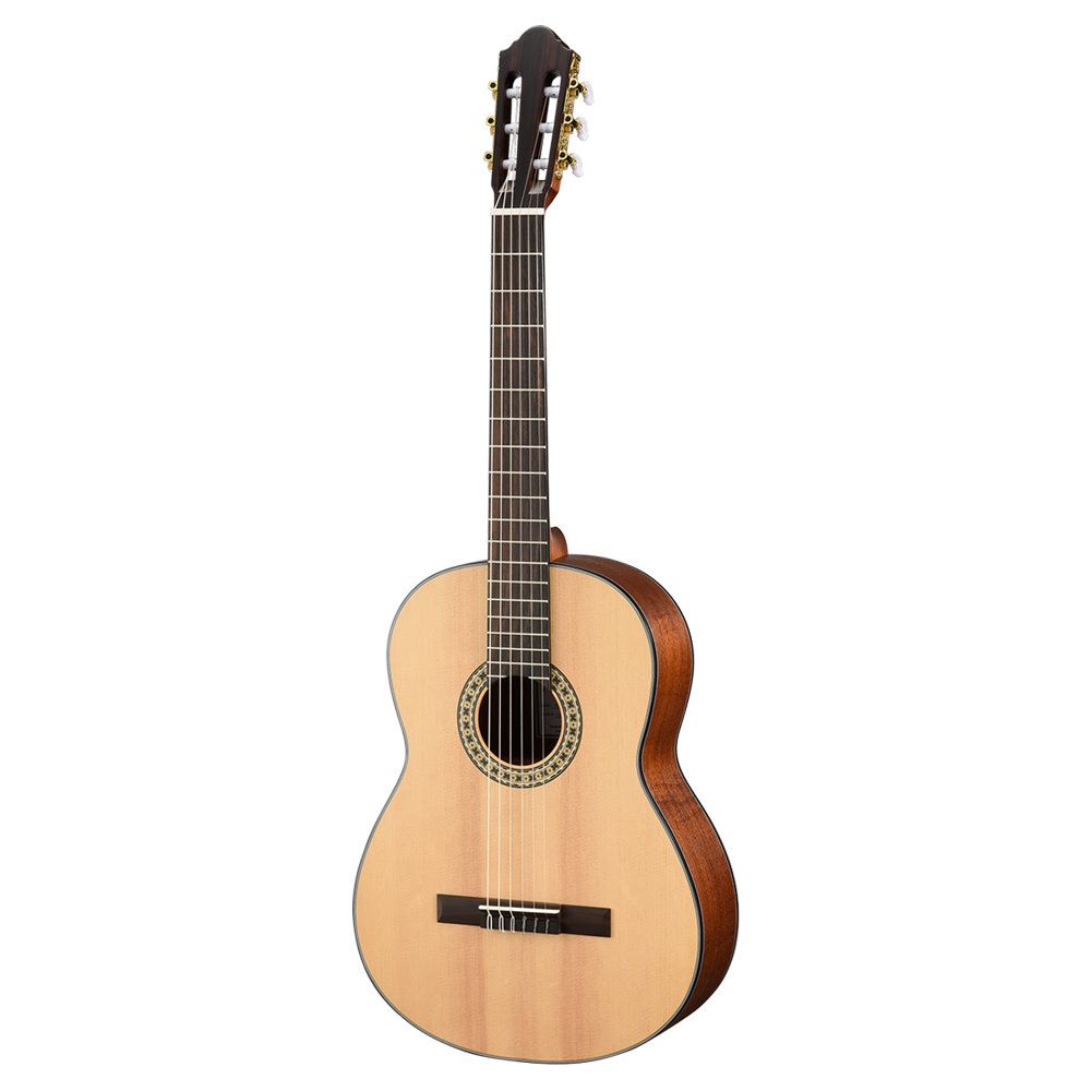 Guitarra Electroacústica N550E Con Funda Walden